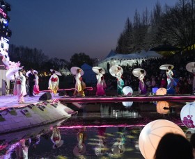 제7회 양재천 벚꽃 등(燈) 축제