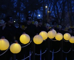 제6회 양재천 벚꽃 등(燈) 축제